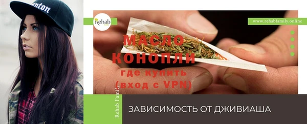 дмт Алексеевка