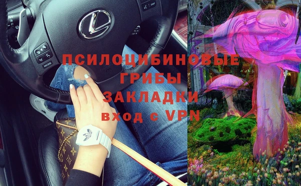 твердый Абаза