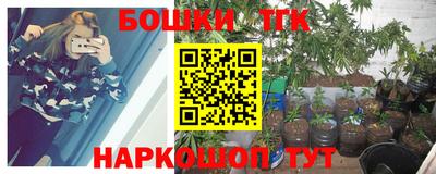 стаф Краснодар