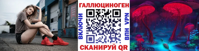 купить наркотики сайты  Елизово  Псилоцибиновые грибы мицелий 