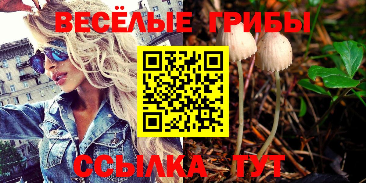 Елизово  Галлюциногенные грибы ЛСД  Вход с VPN 
